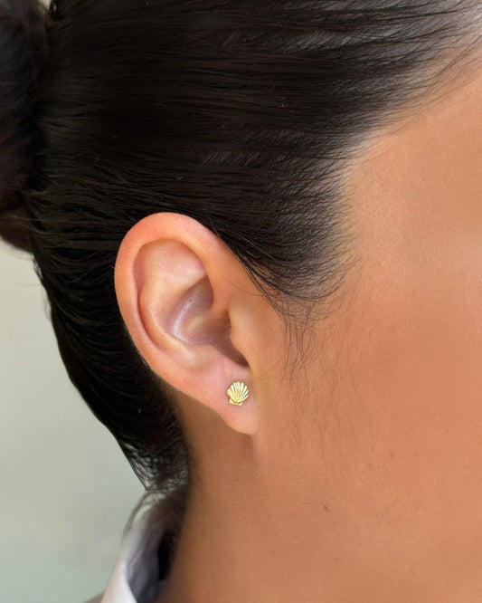 Seashell Studs