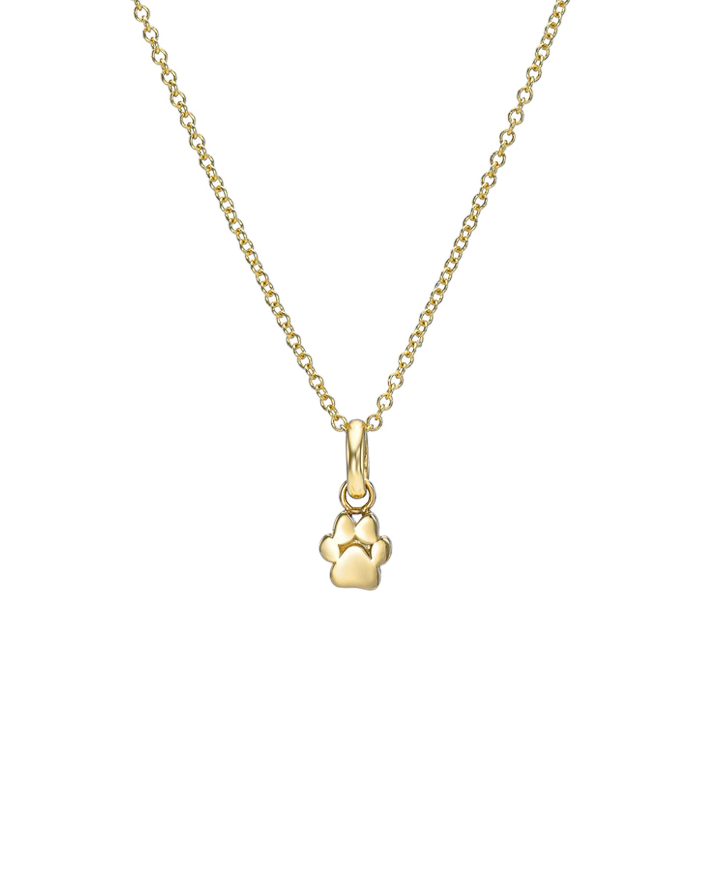 Paw Necklace