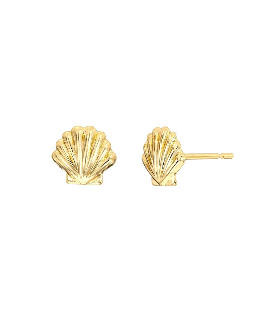 Seashell Studs