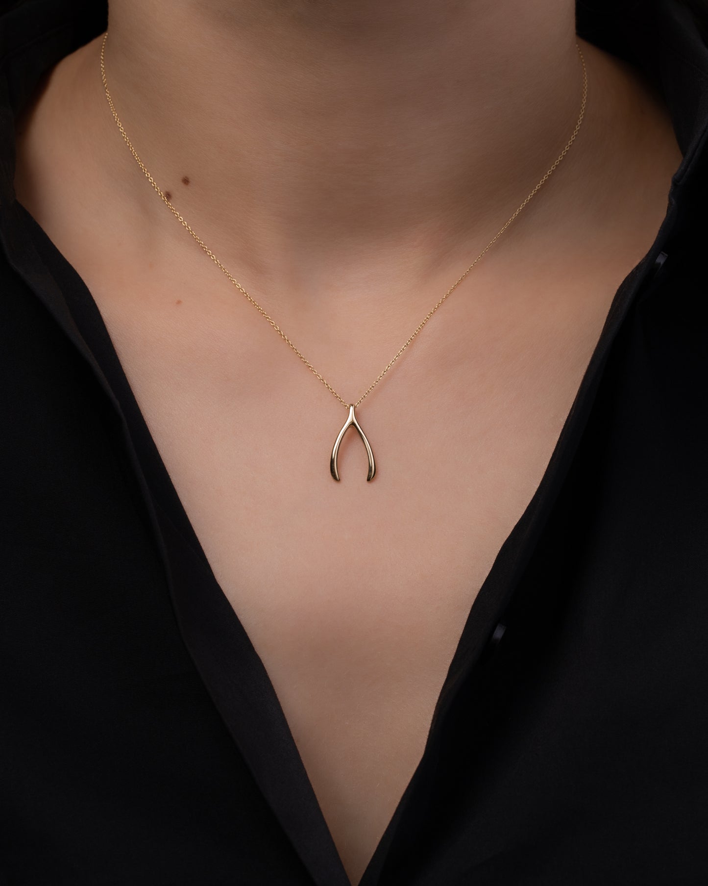 Wishbone Make A Wish Necklace | Dogeared